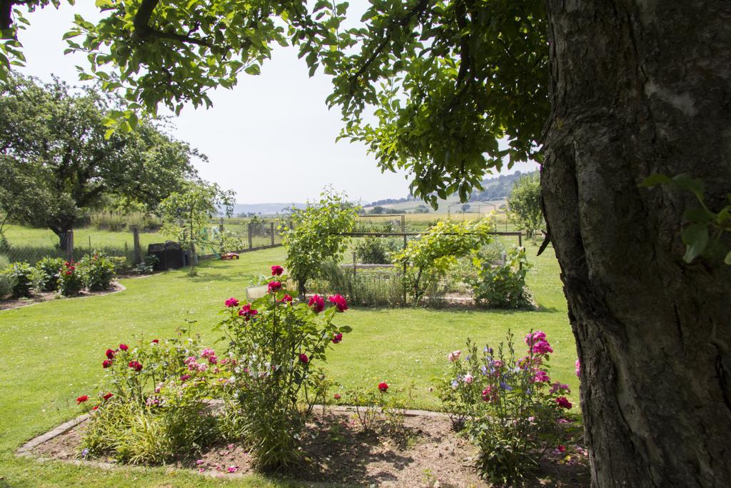 Domizil Im Weserbergland Dolme Bagian luar foto